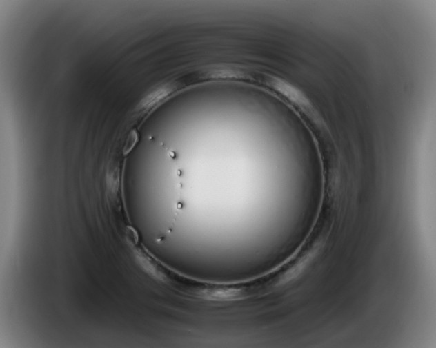 X0000086110841200703301235