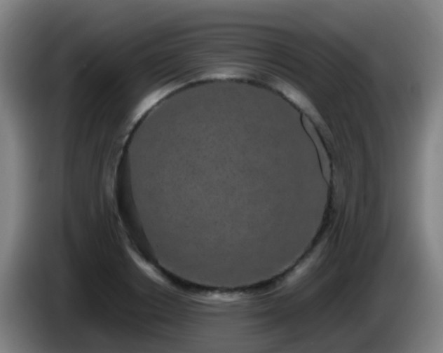 X0000086110842200703301235