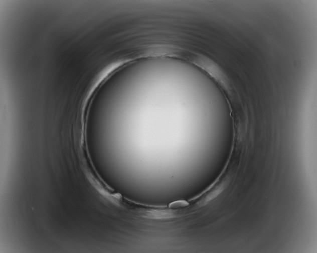 X0000086110844200703301235