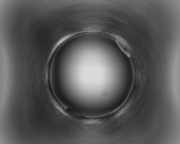 X0000086110846200703301235