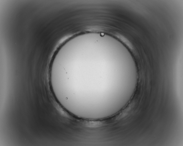 X0000086110848200703301235