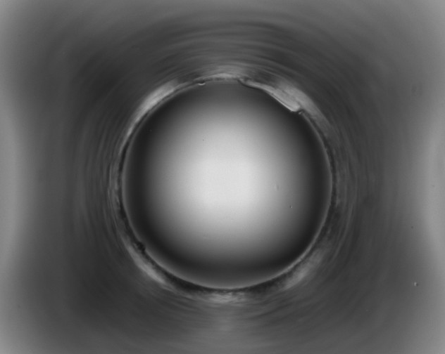 X0000086110850200703301235