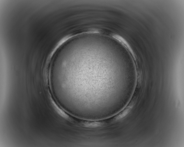 X0000086110851200703301235