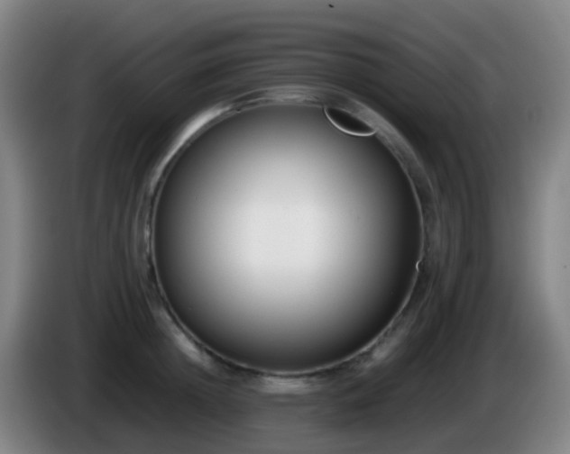 X0000086110852200703301235