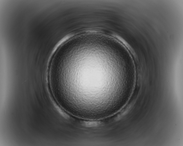 X0000086110853200703301235