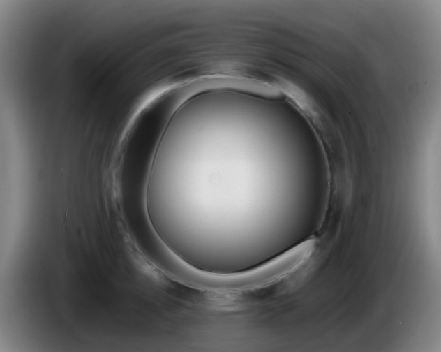 X0000086110854200703301235