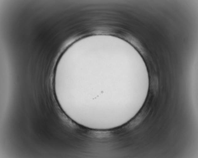 X0000086110856200703301235