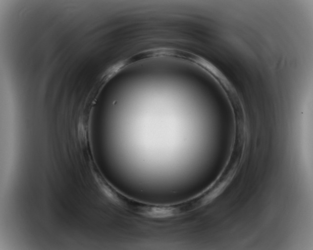 X0000086110857200703301235