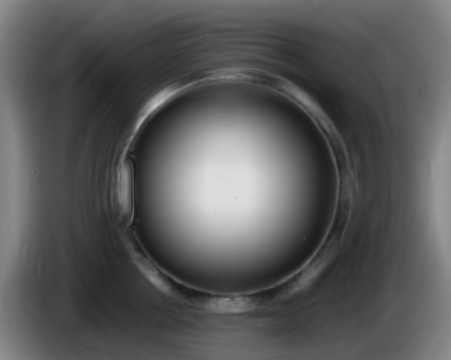 X0000086110858200703301235