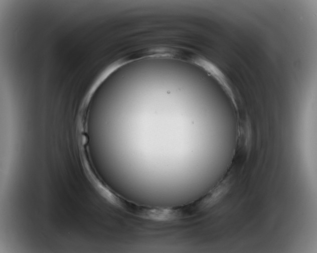 X0000086110859200703301235