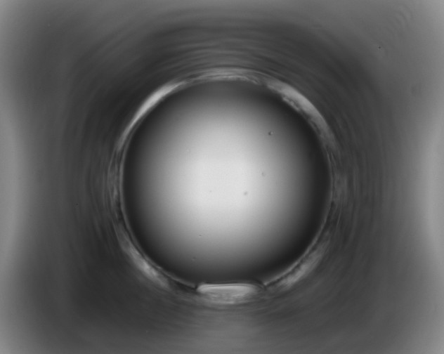 X0000086110860200703301235