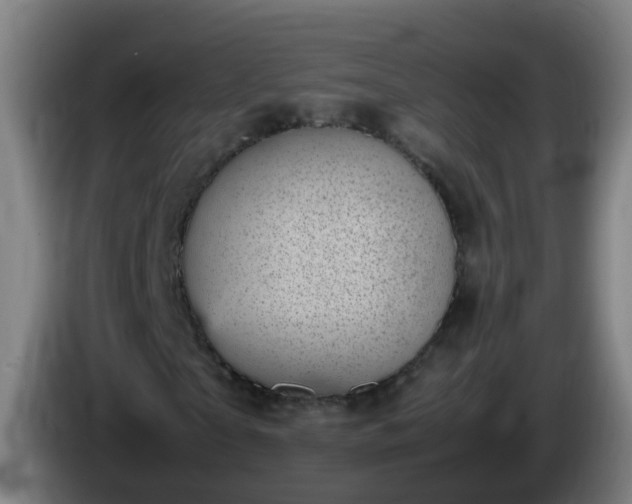 X0000086110865200703301235