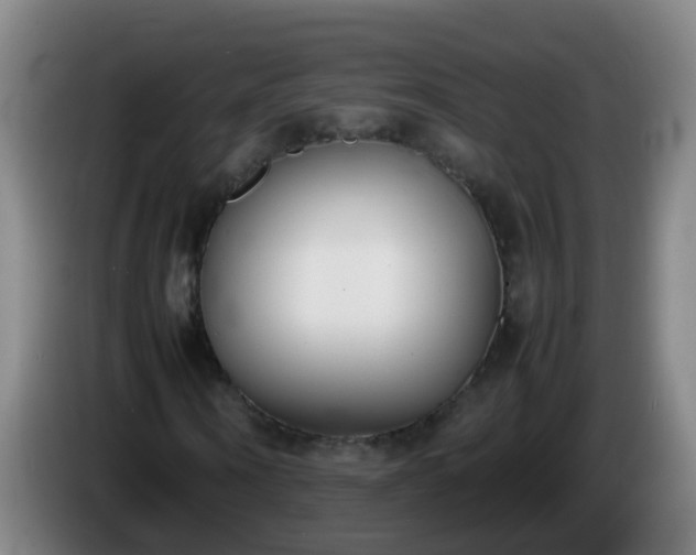 X0000086110866200703301234