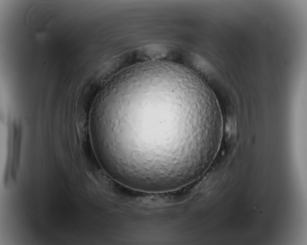 X0000086110867200703301234