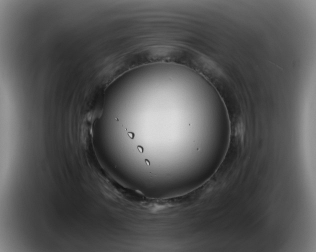 X0000086110868200703301234