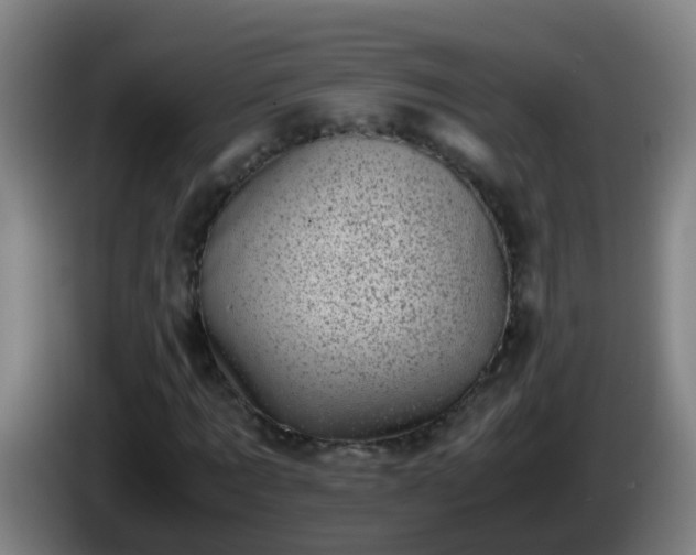 X0000086110869200703301234