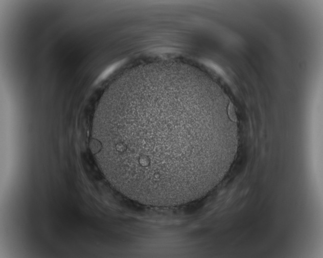 X0000086110871200703301234