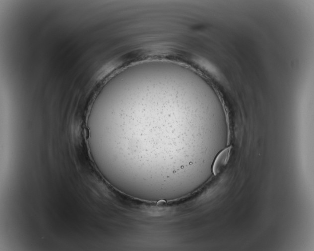 X0000086110873200703301234