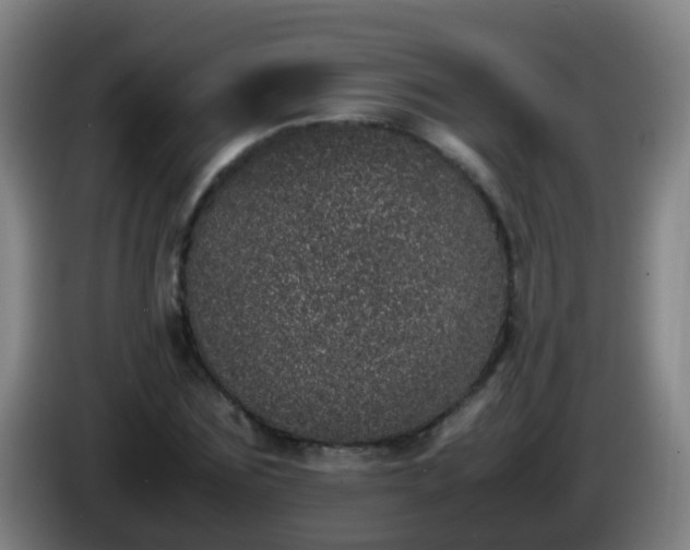 X0000086110875200703301234