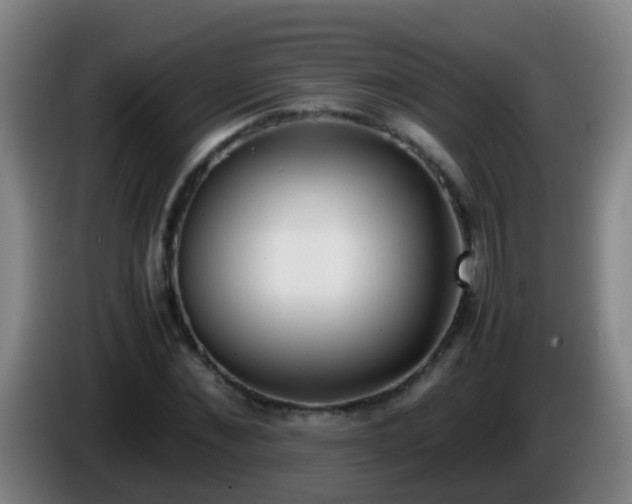 X0000086110876200703301234