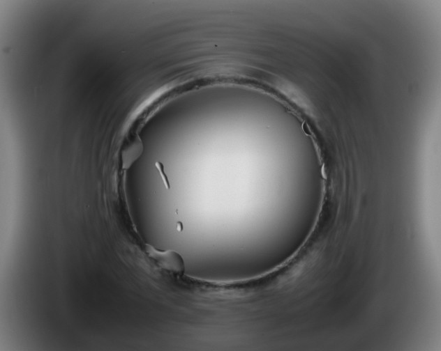 X0000086110877200703301234