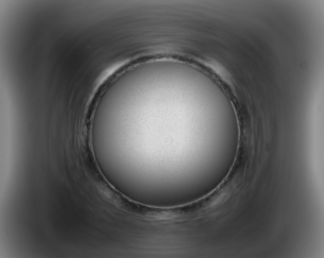 X0000086110879200703301234