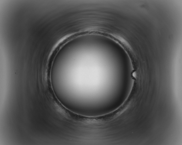 X0000086110880200703301234