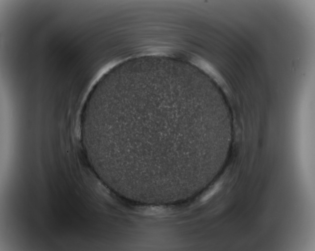 X0000086110883200703301234