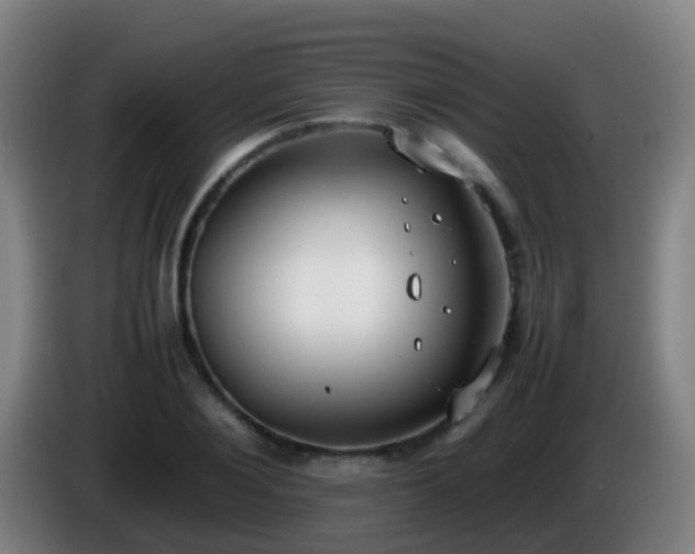 X0000086110884200703301234