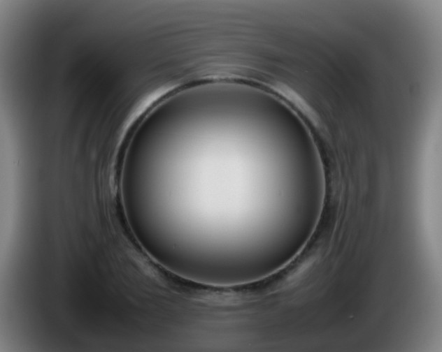 X0000086110885200703301234