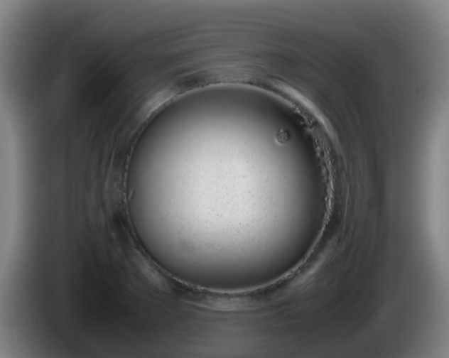 X0000086110889200703301234