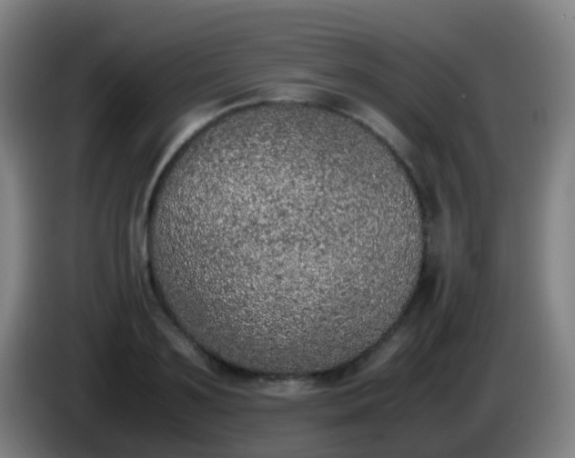 X0000086110891200703301234