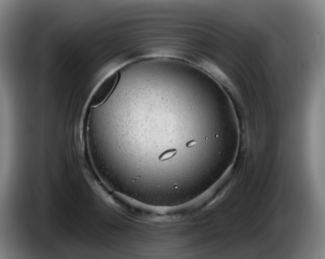 X0000086110892200703301234