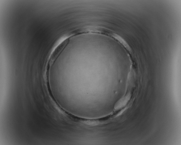 X0000086110893200703301234