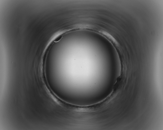 X0000086110894200703301234