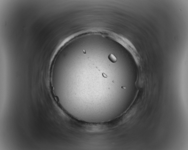 X0000086110895200703301234