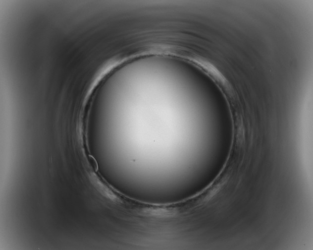 X0000086110896200703301234