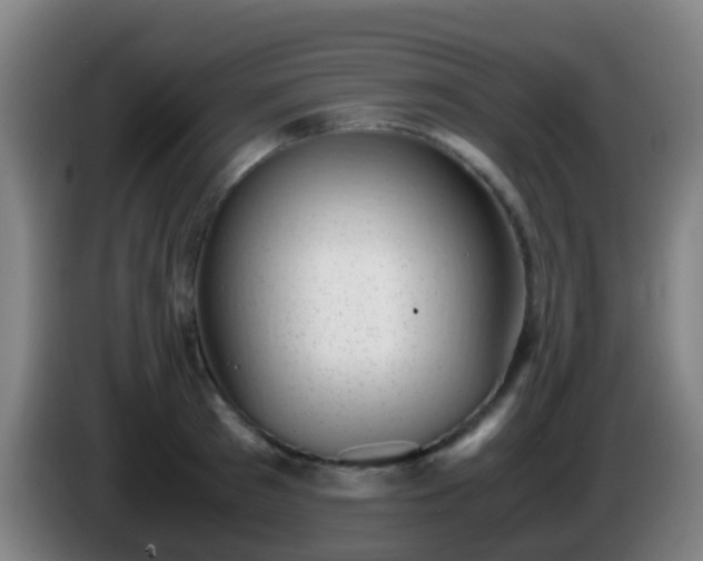 X0000086110897200703301234