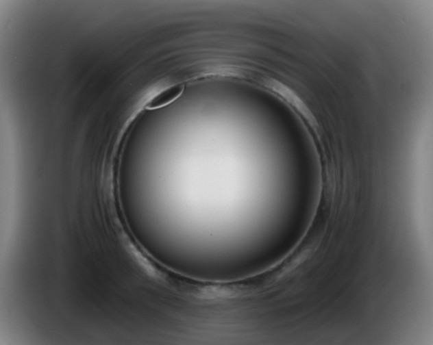 X0000086110898200703301234