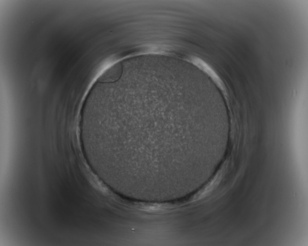 X0000086110899200703301234