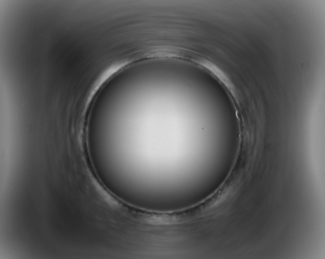 X0000086110901200703301234