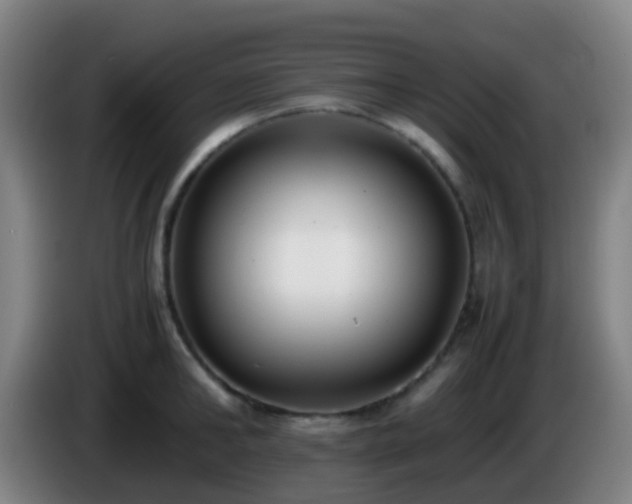 X0000086110902200703301234