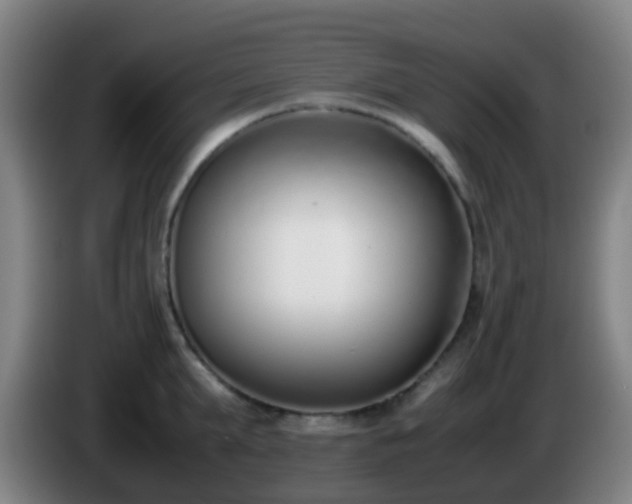 X0000086110903200703301234