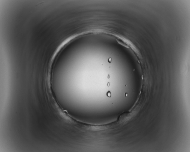 X0000086110904200703301234