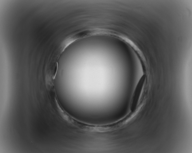 X0000086110905200703301234