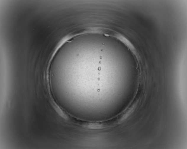 X0000086110907200703301234