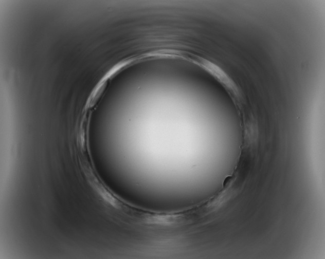 X0000086110908200703301234