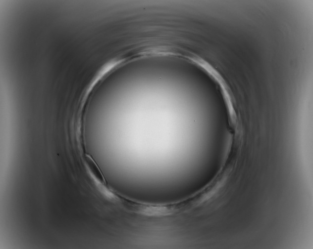 X0000086110909200703301234