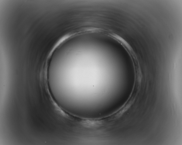 X0000086110910200703301234