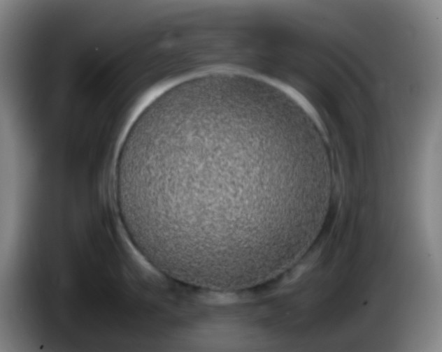 X0000086110911200703301234